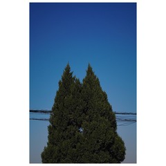 B7F836A4-933F-4C10-844E-CAAA7C3DAA2B/L0/001