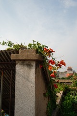 92AA7AA9-2496-4EA5-98D7-DD4609AC2466/L0/001