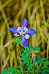 001