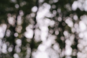 008D7C65-625A-4E92-890E-DA6FA58C6489/L0/001