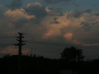 833415