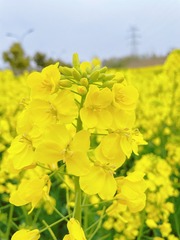 C041E408-8F7D-4EBD-8DB5-581BD4948B71/L0/001