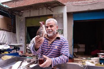 egyptseco-20