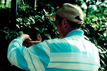 birdmarket-3