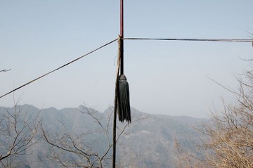 wd-16