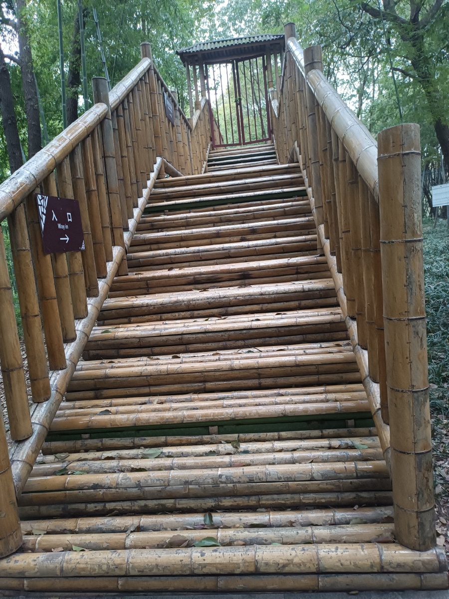 竹子桥 - 摄影师161521951858471 - 图虫