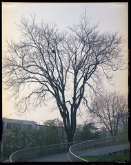 SCAN_1_5.jpg