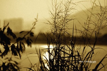 20100401