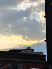 1000083357