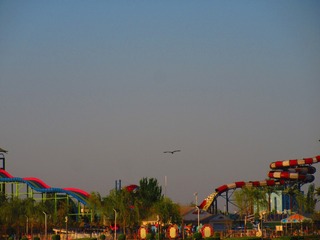 826454
