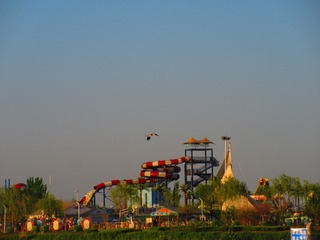 826453