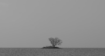 F36AB22E-BF34-460A-A172-EE160747A457/L0/001