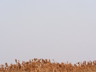 F2FF3A3E-0846-4A25-ABEF-52ADA0C67174/L0/001