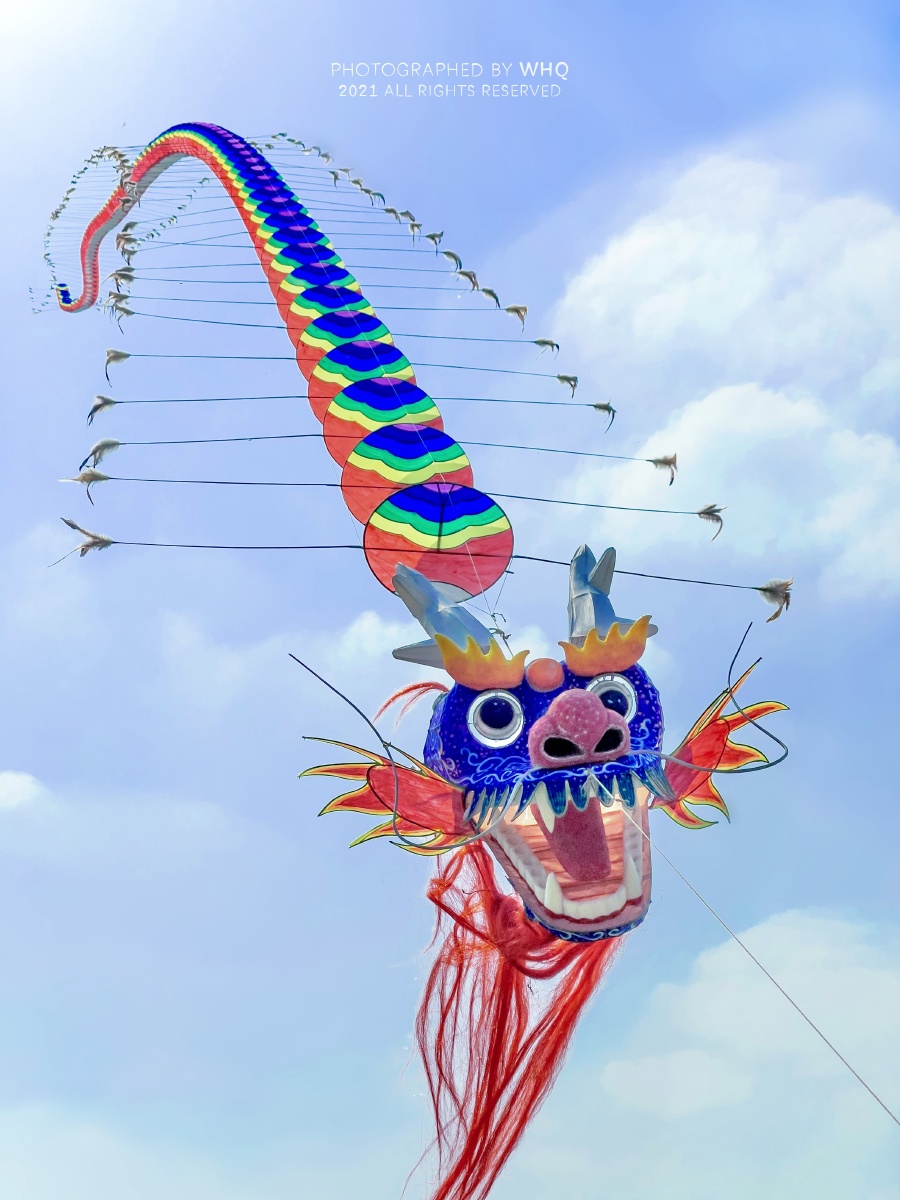 驯龙高手放风筝09