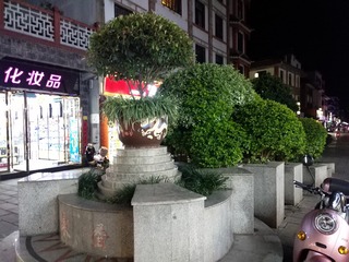 954635