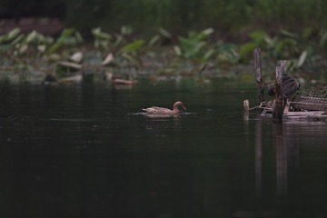 2010071