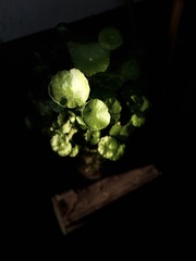 5993BF92-C2F7-4208-B072-C468336332AB/L0/001