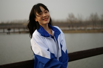 54041