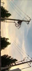 366607