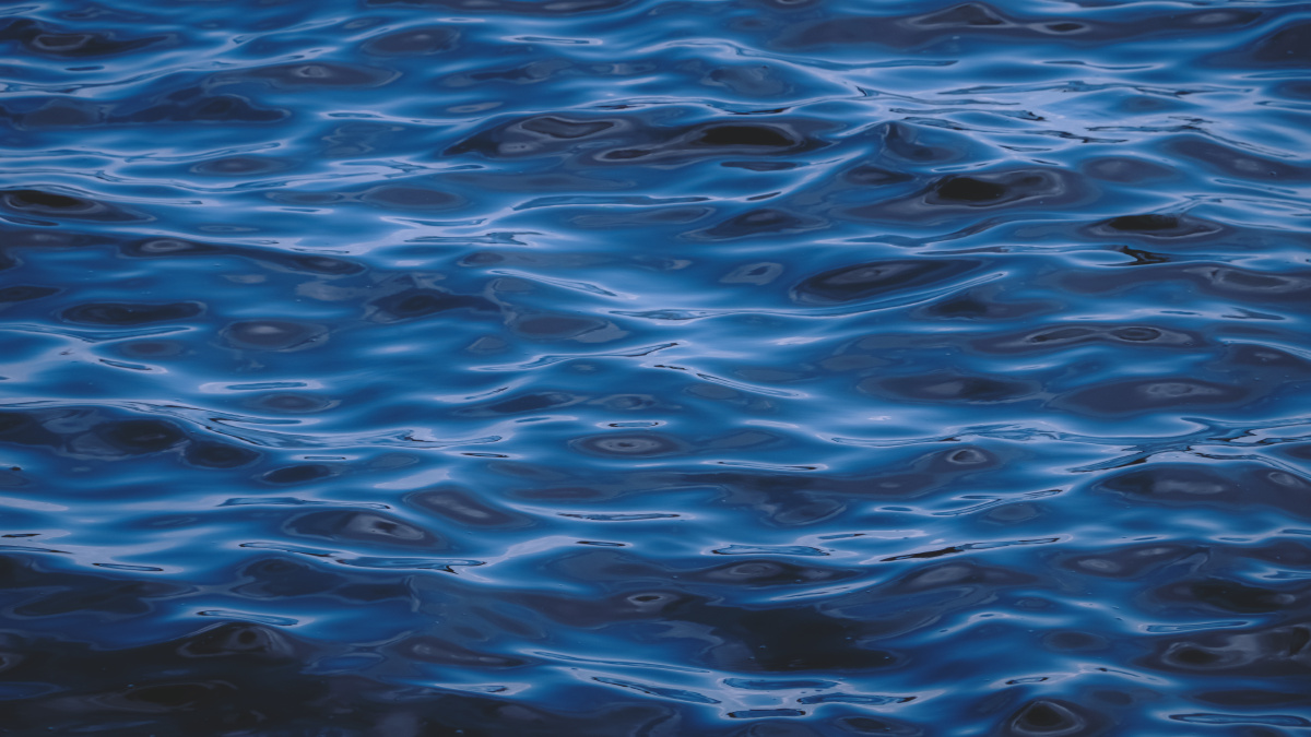 流动的水波纹是广州的珠江水呀