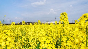 556919D8-D2BC-498B-B0B3-CB8A55F97617/L0/001