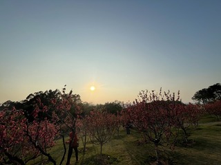 838A3577-AE1E-45FB-BAFB-FD0041560056/L0/001