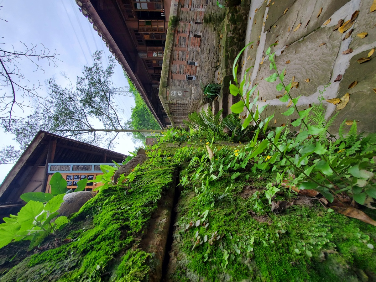金刚碑古村落