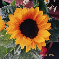EEF3B0C7-92A9-4886-894C-C4FADFA1AF0A/L0/001