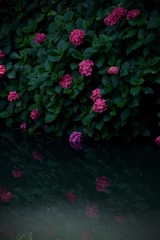 49D41DF5-C1F0-4745-9C21-9142A973FD4E/L0/001