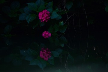 C107C476-DBD6-4444-BB14-171BCDD01290/L0/001