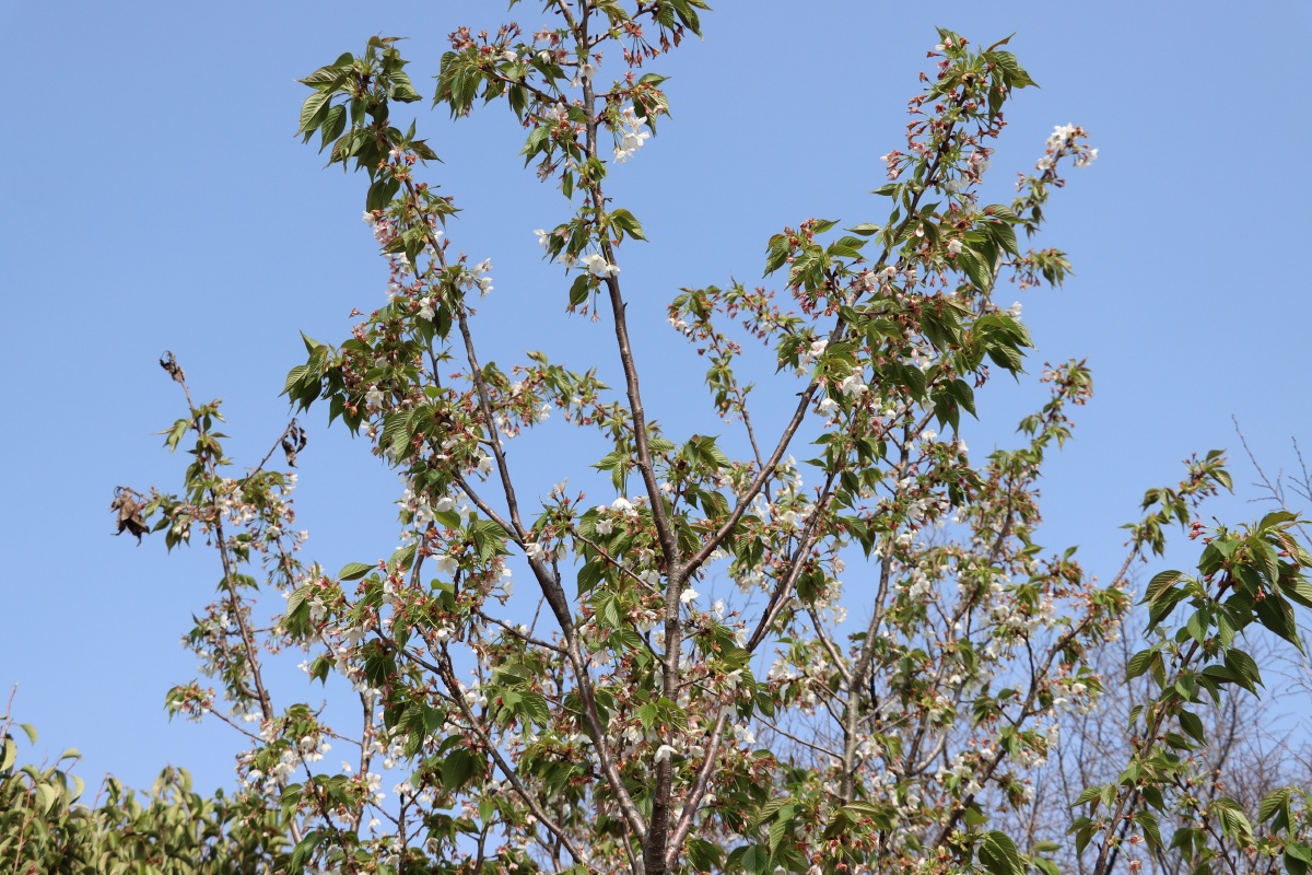 小白第一次拍摄佳能90d