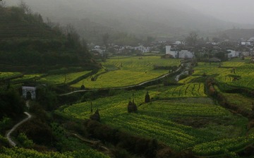庆源 村尾水口