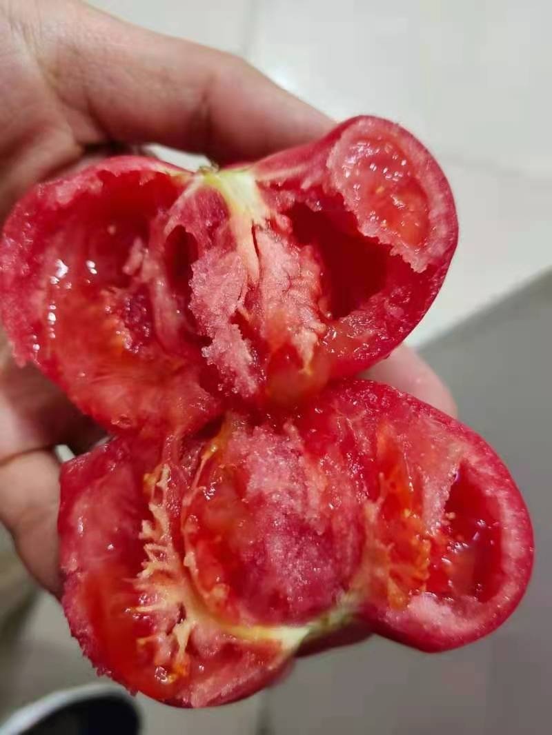 好吃的沙瓤西红柿