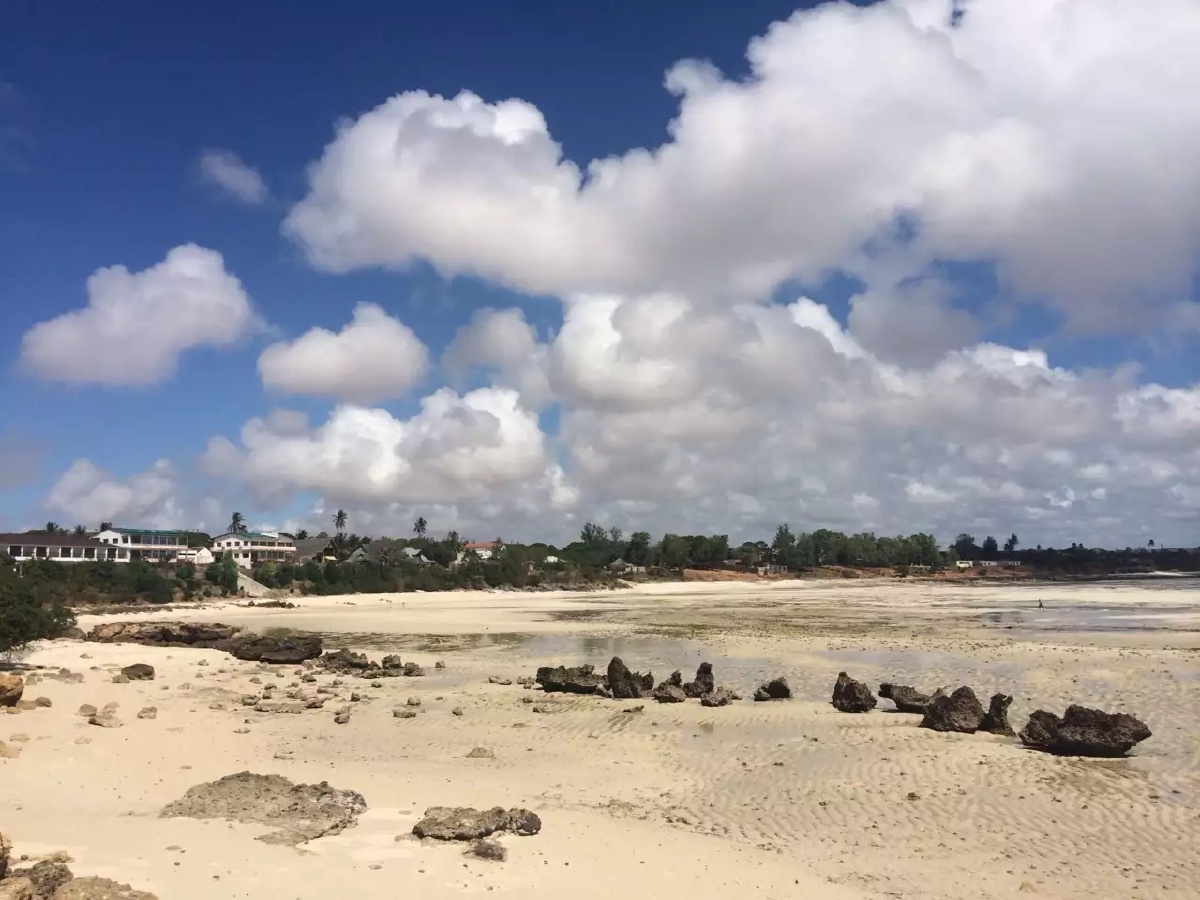 在彭巴的海边走一走感觉和自然无比的亲近