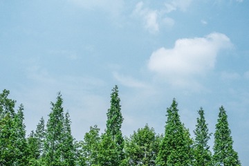 CCB385E8-0D3D-46C3-9D39-CB1654B2004A/L0/001