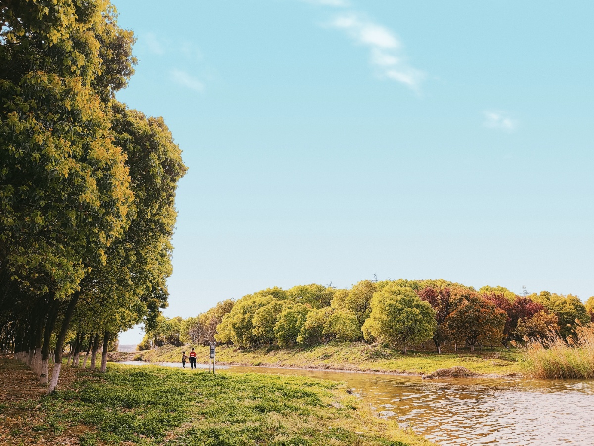 逛公园河边小树林