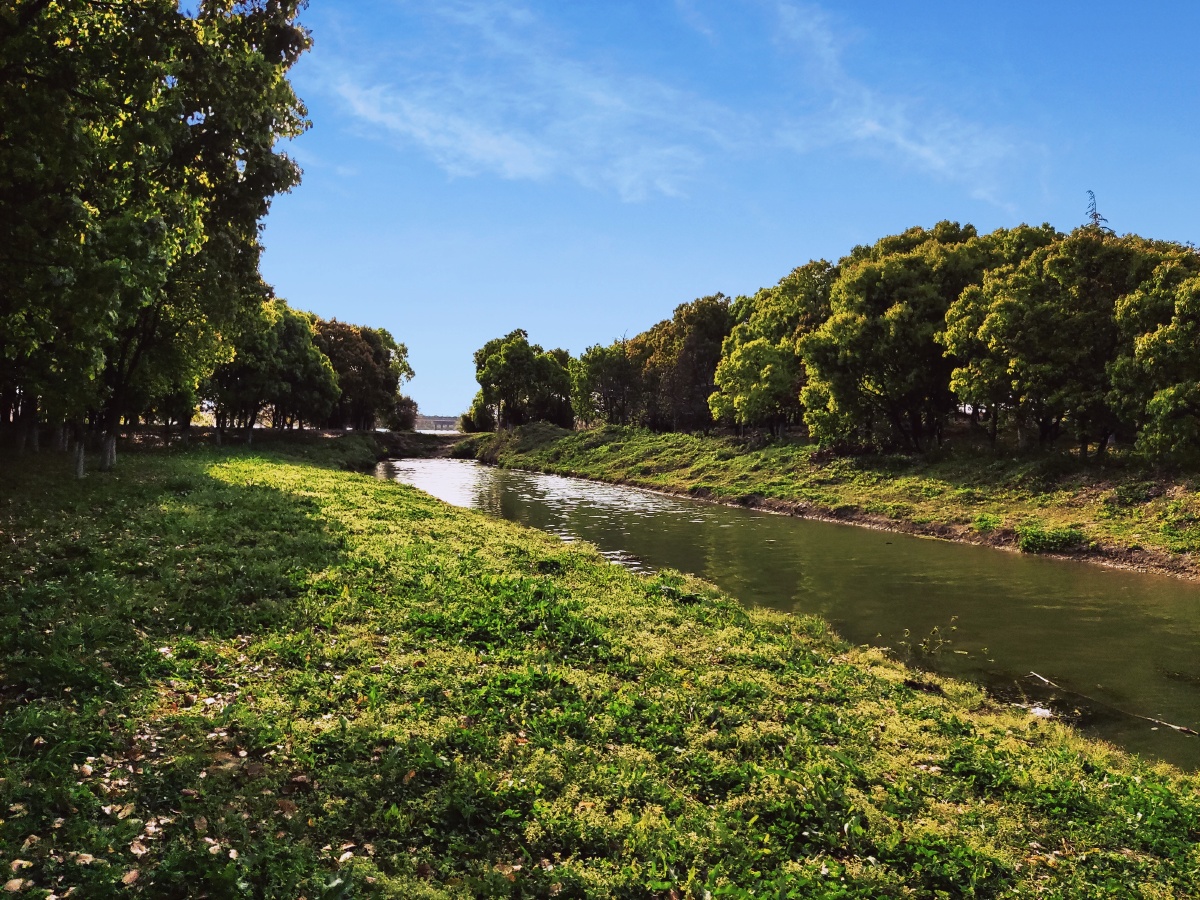 逛公园河边小树林