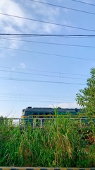 E8F71D9B-9B2B-46B6-98AD-171FF7C3E14C/L0/001