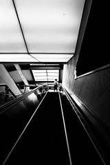 9369E3D8-7245-42EB-9367-F9F4A1FDD5C1/L0/001