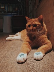 195