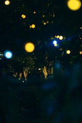 F4A11C5E-375E-4E5D-82A0-DB5445DD9EEA/L0/001