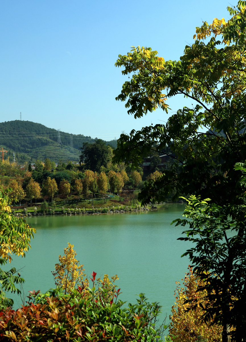 《名城遵义白鹭湖之秋》…… - 山鹰纪实 - 图虫