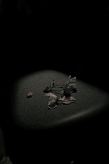 241285