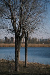 2D39DC3E-00F7-4F46-82E1-97AB227DDE32/L0/001