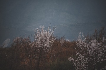 EF0BF040-439F-4E52-AF2C-8CFA79C3B145/L0/001
