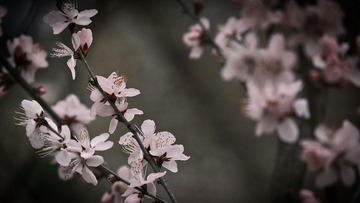 D65D7E8E-70D0-4F59-9663-BE48AF219812/L0/001