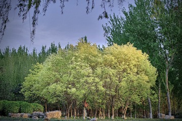 7B84F3DB-0D16-4AD8-816E-94EC84E499BC/L0/001