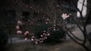 A5F990F0-755C-485D-BC2A-942CE66F060E/L0/001