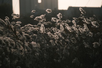 61664EBF-B1C4-4768-A3DF-81A1DED0B8AF/L0/001