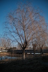 731C5AB5-0834-4C3A-AAD0-C4FEDAB7226D/L0/001